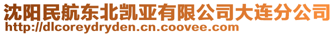 沈陽民航東北凱亞有限公司大連分公司