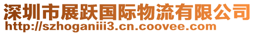 深圳市展躍國際物流有限公司