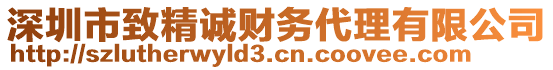 深圳市致精誠(chéng)財(cái)務(wù)代理有限公司