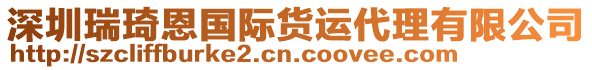 深圳瑞琦恩國際貨運(yùn)代理有限公司