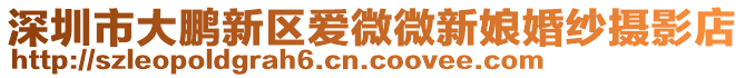 深圳市大鵬新區(qū)愛微微新娘婚紗攝影店