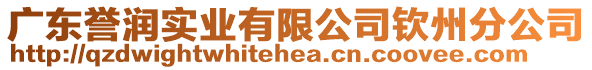 廣東譽(yù)潤(rùn)實(shí)業(yè)有限公司欽州分公司