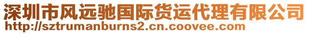 深圳市風(fēng)遠馳國際貨運代理有限公司