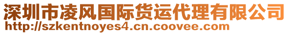 深圳市凌風(fēng)國際貨運(yùn)代理有限公司