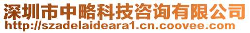 深圳市中略科技咨詢有限公司