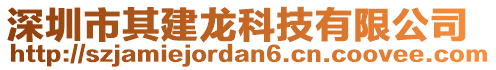 深圳市其建龍科技有限公司