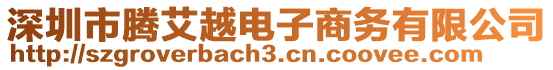 深圳市騰艾越電子商務有限公司