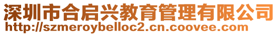 深圳市合啟興教育管理有限公司