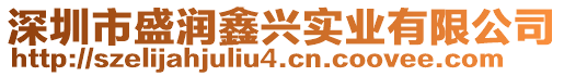 深圳市盛潤鑫興實業(yè)有限公司