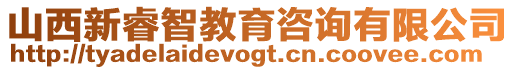 山西新睿智教育咨詢有限公司