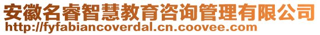 安徽名睿智慧教育咨詢管理有限公司