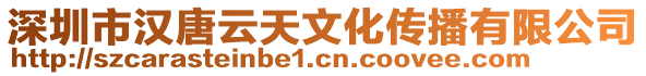 深圳市漢唐云天文化傳播有限公司