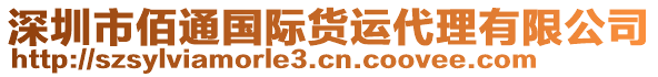 深圳市佰通國際貨運代理有限公司