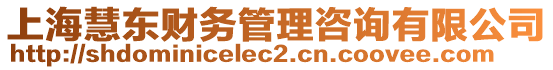 上?；蹡|財(cái)務(wù)管理咨詢(xún)有限公司