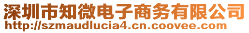 深圳市知微電子商務(wù)有限公司