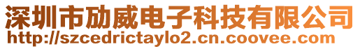 深圳市勱威電子科技有限公司