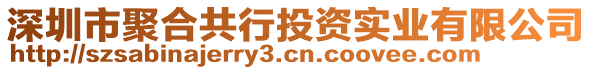 深圳市聚合共行投資實業(yè)有限公司