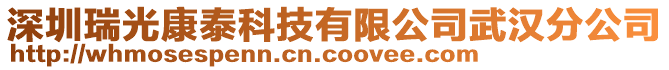 深圳瑞光康泰科技有限公司武漢分公司