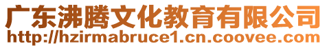 廣東沸騰文化教育有限公司