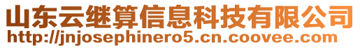 山東云繼算信息科技有限公司