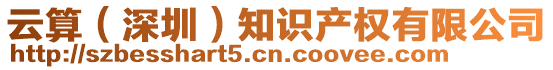 云算（深圳）知識(shí)產(chǎn)權(quán)有限公司