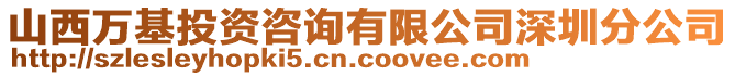 山西萬基投資咨詢有限公司深圳分公司