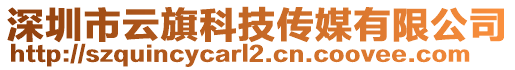 深圳市云旗科技傳媒有限公司