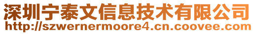 深圳寧泰文信息技術有限公司