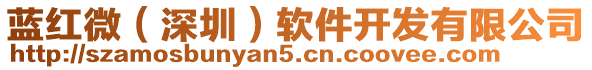 藍(lán)紅微（深圳）軟件開發(fā)有限公司