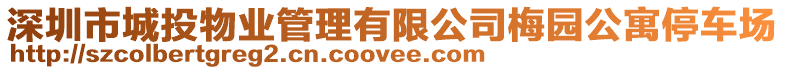 深圳市城投物業(yè)管理有限公司梅園公寓停車場(chǎng)