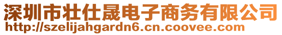 深圳市壯仕晟電子商務有限公司