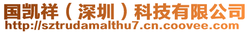 國(guó)凱祥（深圳）科技有限公司