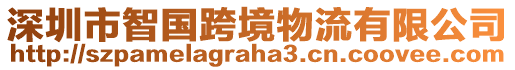 深圳市智國(guó)跨境物流有限公司