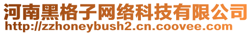 河南黑格子網(wǎng)絡(luò)科技有限公司