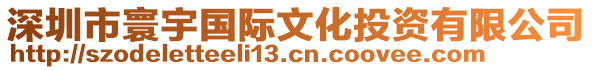 深圳市寰宇國(guó)際文化投資有限公司