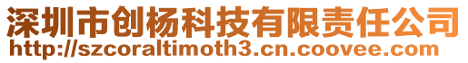 深圳市創(chuàng)楊科技有限責任公司