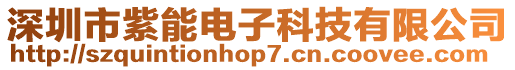 深圳市紫能電子科技有限公司