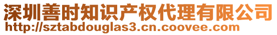 深圳善时知识产权代理有限公司