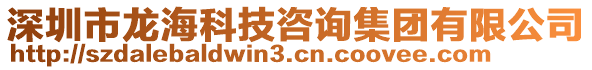 深圳市龍?？萍甲稍兗瘓F(tuán)有限公司