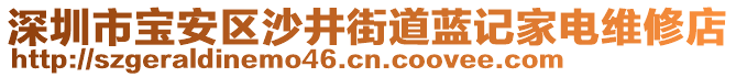 深圳市寶安區(qū)沙井街道藍(lán)記家電維修店