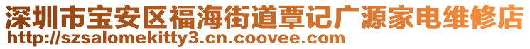 深圳市寶安區(qū)福海街道覃記廣源家電維修店