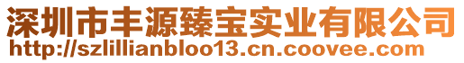 深圳市豐源臻寶實業(yè)有限公司