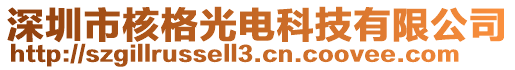 深圳市核格光電科技有限公司