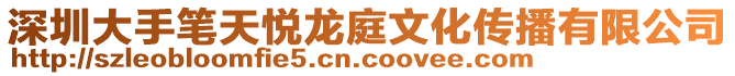 深圳大手筆天悅龍庭文化傳播有限公司