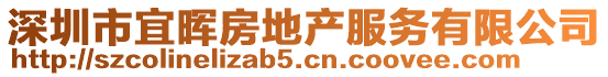 深圳市宜暉房地產服務有限公司