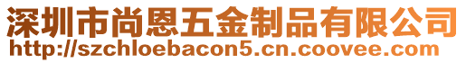 深圳市尚恩五金制品有限公司