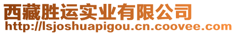 西藏勝運(yùn)實(shí)業(yè)有限公司