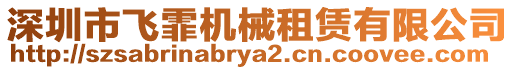 深圳市飛霏機(jī)械租賃有限公司