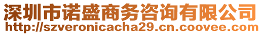 深圳市諾盛商務(wù)咨詢(xún)有限公司