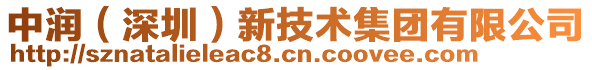 中潤(rùn)（深圳）新技術(shù)集團(tuán)有限公司